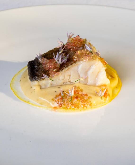 piatto_Pasquale-Rinaldo_13